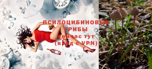 гидра Осташков