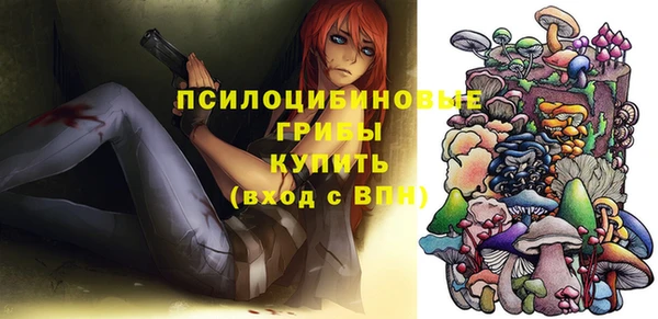 гидра Осташков