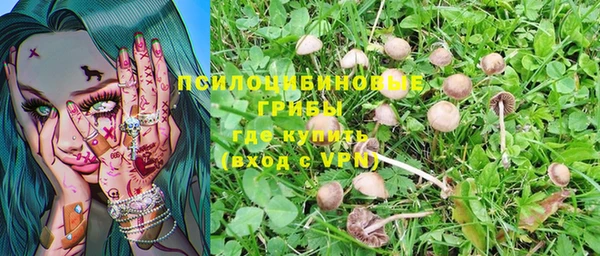 MESCALINE Осинники