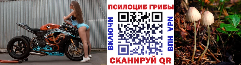Галлюциногенные грибы GOLDEN TEACHER  Азов 