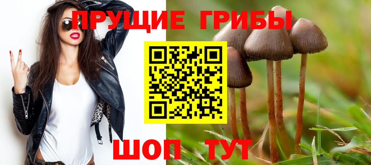 Азов  Псилоцибиновые грибы Magic Shrooms  Псилоцибиновые грибы Cubensis  Вход с VPN 